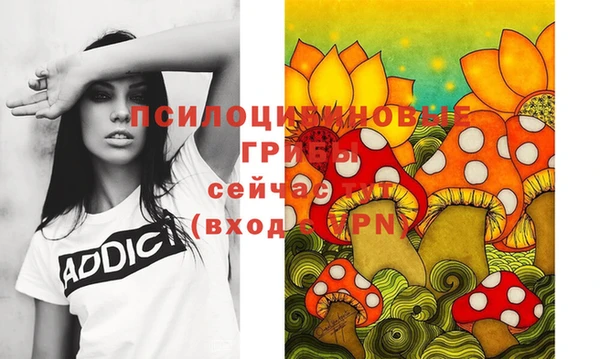 ГАЛЛЮЦИНОГЕННЫЕ ГРИБЫ Балабаново